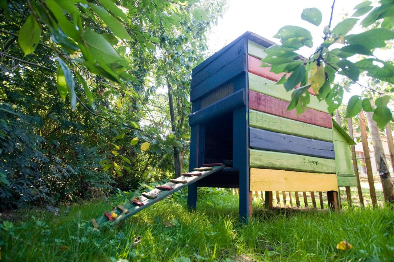 Bed and Breakfast De Kiezel Hasselt Exterior foto